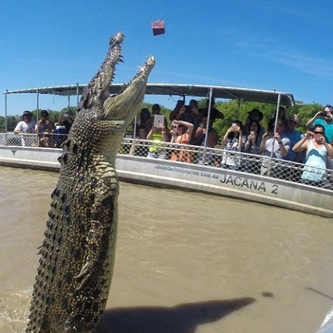 a group of people on a boat in a body of water