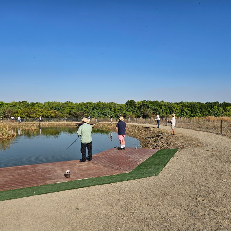 People fishing by a pond on a sunny, clear day.